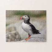 Atlantic Puffin in Machias, Maine Puzzle (Horizontal)