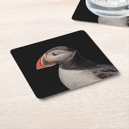 Atlantic Puffin in Machias, Maine Rechteckiger Pappuntersetzer (angewinkelt)
