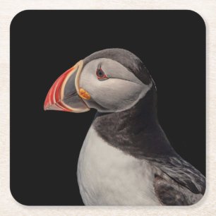 Atlantic Puffin in Machias, Maine Rechteckiger Pappuntersetzer