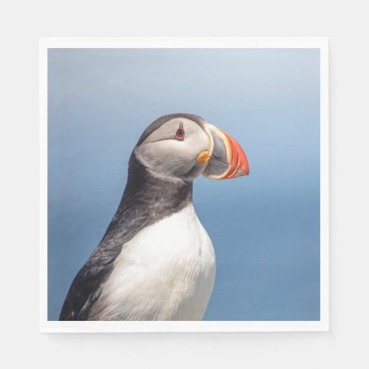 Atlantic Puffin in Machias, Maine Serviette (Vorderseite)