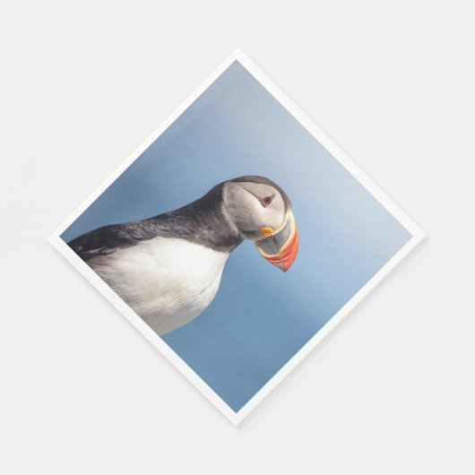 Atlantic Puffin in Machias, Maine Serviette (Ecke)