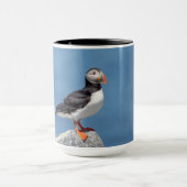 Atlantic Puffin in Machias, Maine Tasse (Zentrum)