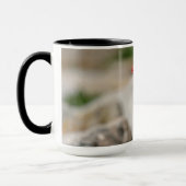 Atlantic Puffin in Machias, Maine Tasse (Links)