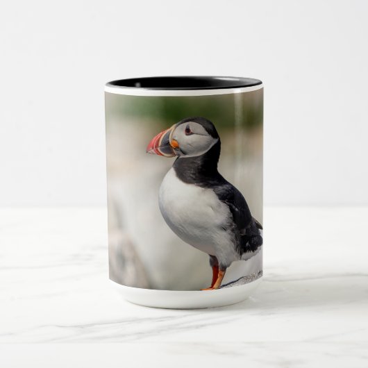 Atlantic Puffin in Machias, Maine Tasse (Zentrum)