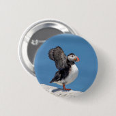 Atlantic Puffin in Machias, ME Button (Vorne & Hinten)