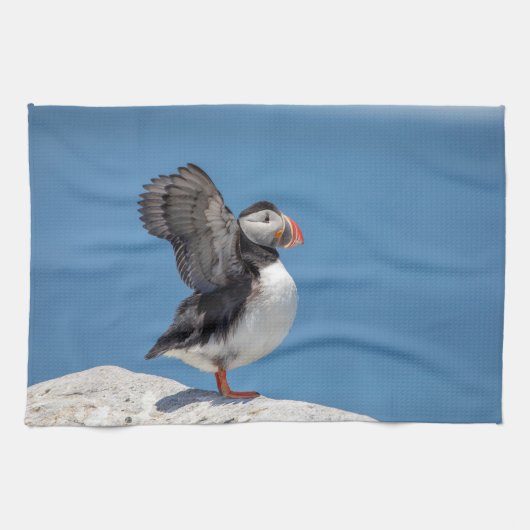 Atlantic Puffin in Machias, ME Geschirrtuch (Horizontal)
