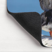 Atlantic Puffin in Machias, ME Mousepad (Ecke)