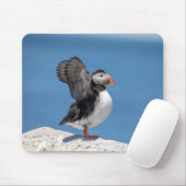 Atlantic Puffin in Machias, ME Mousepad (Mit Mouse)