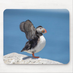 Atlantic Puffin in Machias, ME Mousepad