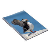 Atlantic Puffin in Machias, ME Notizblock (Rechte Seite)