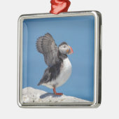 Atlantic Puffin in Machias, ME Ornament Aus Metall (Links)