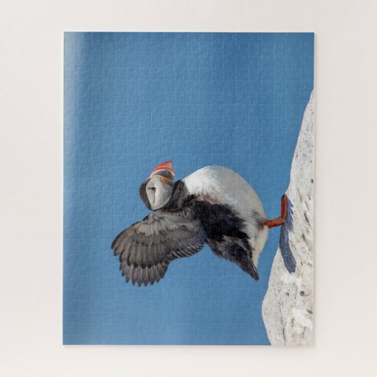Atlantic Puffin in Machias, ME Puzzle (Vertikal)