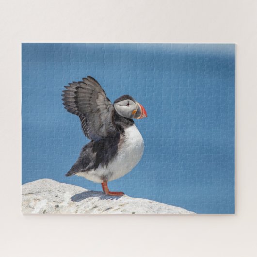 Atlantic Puffin in Machias, ME Puzzle (Horizontal)