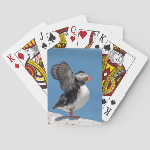 Atlantic Puffin in Machias, ME Spielkarten