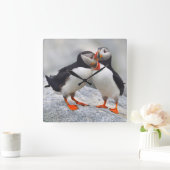 Atlantic Puffin Love Quadratische Wanduhr (Zuhause)
