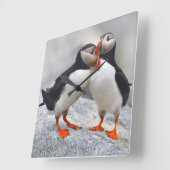 Atlantic Puffin Love Quadratische Wanduhr (Winkel)