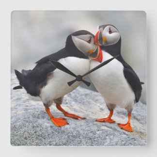 Atlantic Puffin Love Quadratische Wanduhr