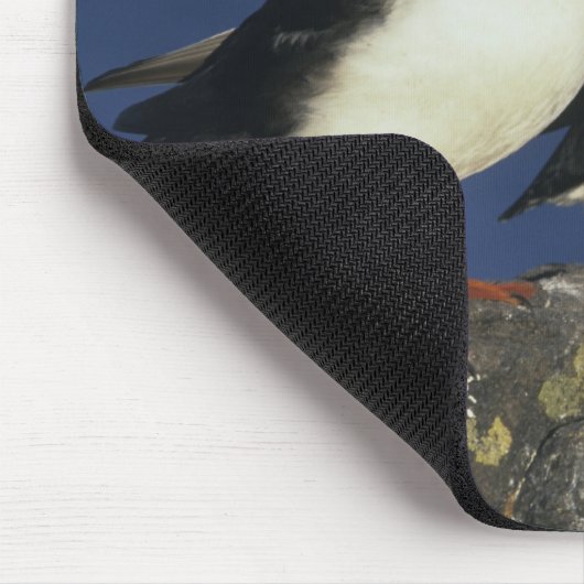 Atlantic Puffin Mousepad (Ecke)