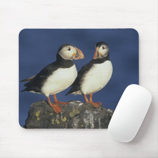 Atlantic Puffin Mousepad (Mit Mouse)