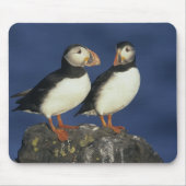 Atlantic Puffin Mousepad (Vorne)