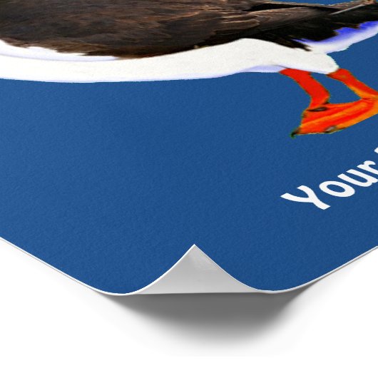 Atlantic Puffin Poster (Ecke)