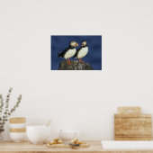 Atlantic Puffin Poster (Küche)