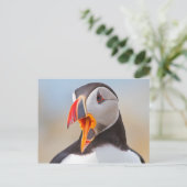 Atlantic Puffin Postkarte (Stehend Vorderseite)