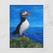 Atlantic Puffin Postkarte (Vorderseite)