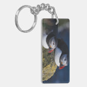 Atlantic Puffin Schlüsselanhänger (Vorderseite links)