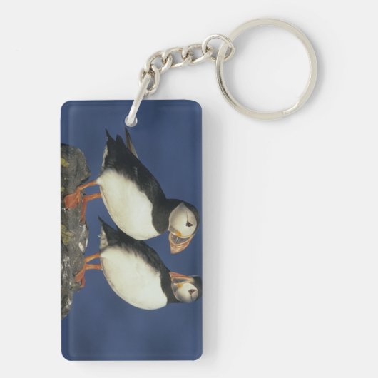 Atlantic Puffin Schlüsselanhänger (Rückseite)