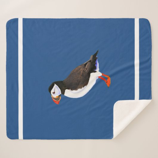 Atlantic Puffin Sherpadecke (Vorderseite (Horizontal))
