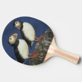 Atlantic Puffin Tischtennis Schläger (Seitenansicht)