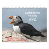 Atlantic Puffins 2025 Calendar Kalender (Titelbild)