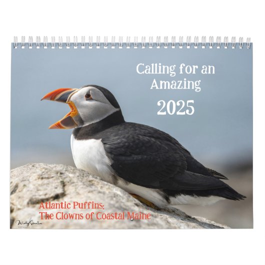 Atlantic Puffins 2025 Calendar Kalender (Titelbild)