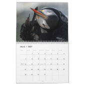 Atlantic Puffins 2025 Calendar Kalender (Mär 2027)