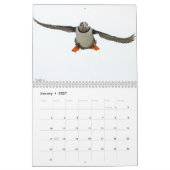 Atlantic Puffins 2025 Calendar Kalender (Jan 2027)