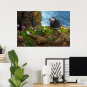 Atlantic Puffins in Latrabjarg Cliffs Poster (Heimbüro)
