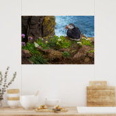 Atlantic Puffins in Latrabjarg Cliffs Poster (Küche)