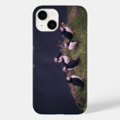 Atlantic Puffins iPhone 14 Case (Rückseite)