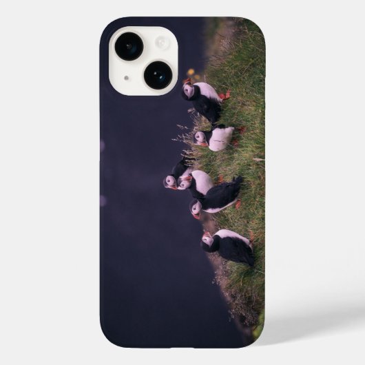 Atlantic Puffins iPhone 14 Case (Rückseite)