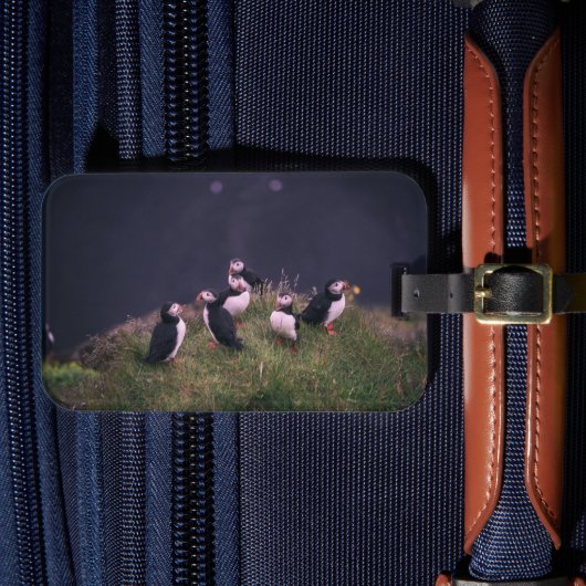 Atlantic Puffins Luggage Tag Gepäckanhänger (Vorderseite Insitu 4)