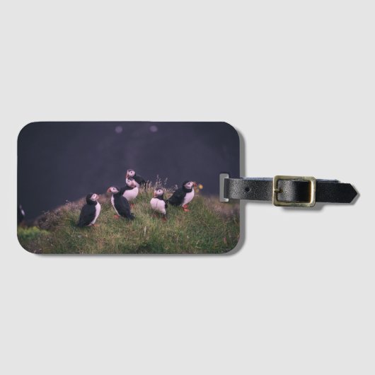 Atlantic Puffins Luggage Tag Gepäckanhänger (Vorderseite (Horizontal))