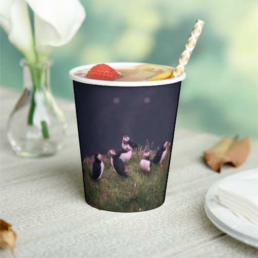 Atlantic Puffins Paper Cups Pappbecher (In Situ)