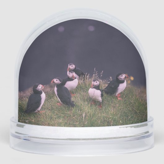 Atlantic Puffins Schneekugeln (Vorderseite)