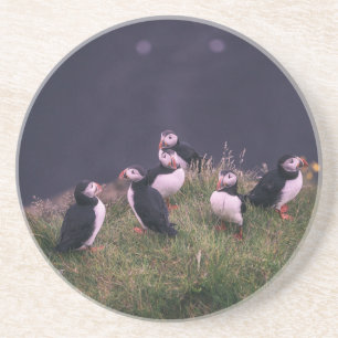 Atlantic Puffins Untersetzer