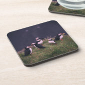 Atlantic Puffs Beverage Coaster Getränkeuntersetzer (Linke Seite)