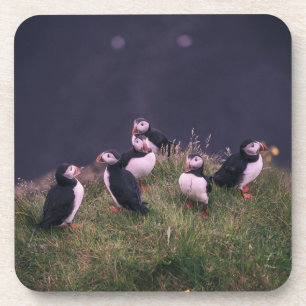 Atlantic Puffs Beverage Coaster Getränkeuntersetzer