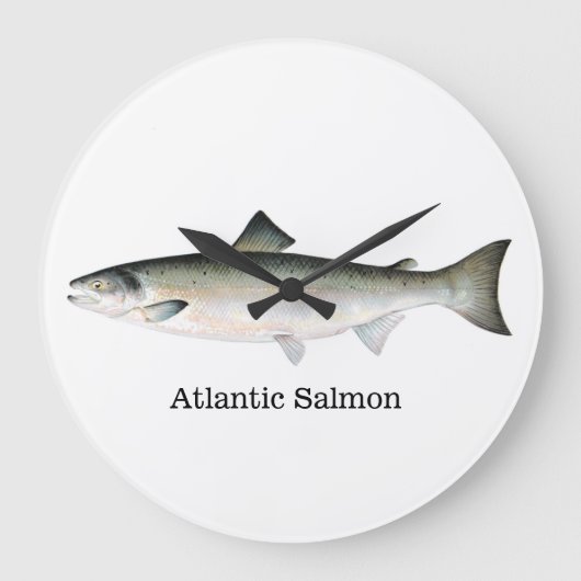 Atlantic Salmon Fish Große Wanduhr (Vorderseite)