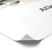 Atlantic Salmon Fish Poster (Ecke)
