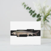Atlantic Sturgeon - Acipenser oxyrinchus Postkarte (Stehend Vorderseite)